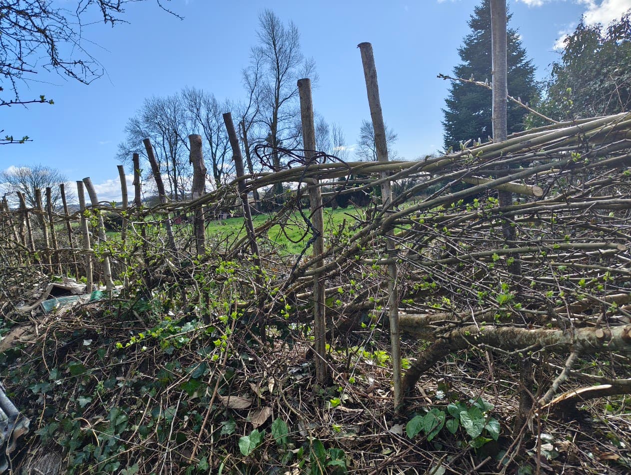 Hedgelaying And Boundary Work