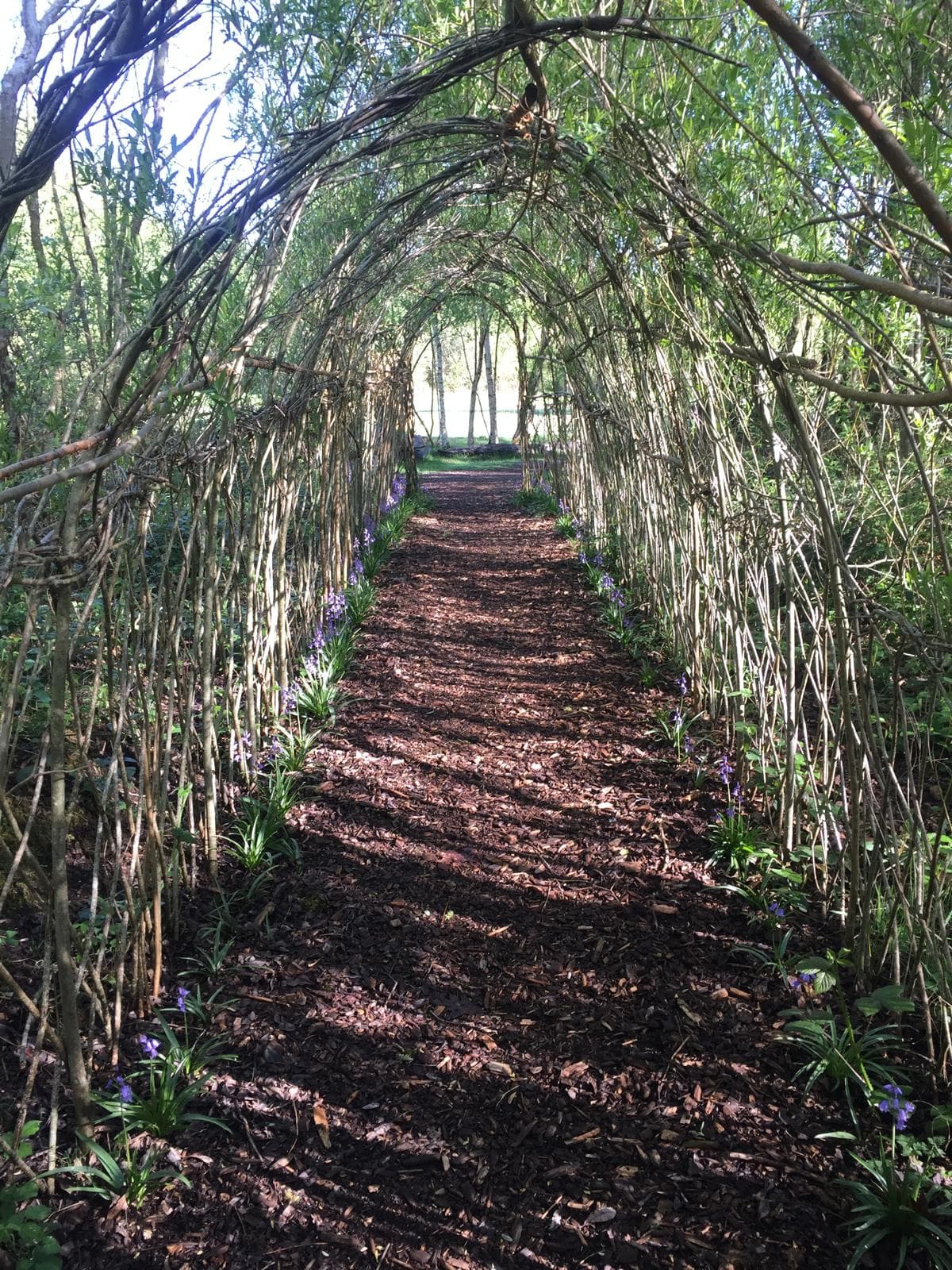 Willow Structures